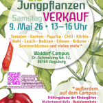 Bio-Jungpflanzen-Markt am 9. Mai von 13–16 Uhr